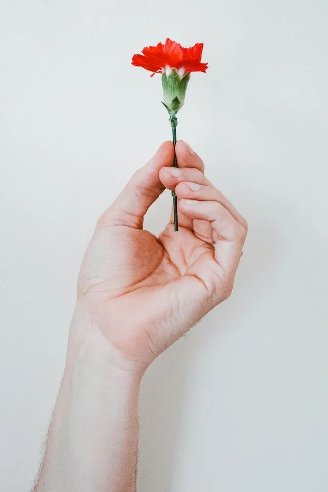 如何统合人性与内在神性的自己插图-我爱分享网 如何统合人性与内在神性的自己插图-我爱分享网