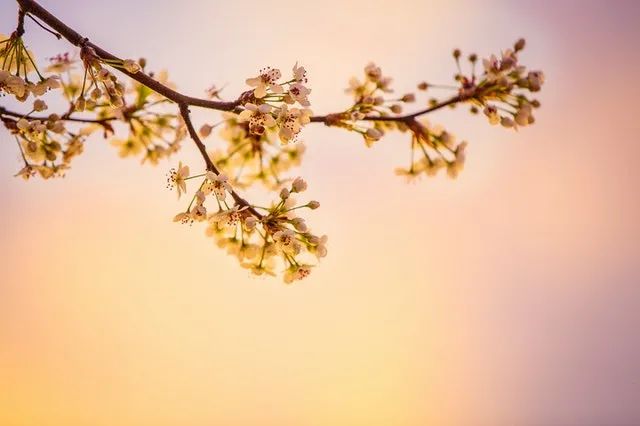 通过自我负责来提升能力插图-我爱分享网