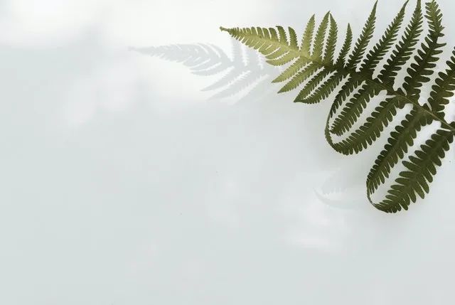 当你心中没有恐惧时,你的人生有100种可能性插图-我爱分享网 当你心中没有恐惧时,你的人生有100种可能性插图-我爱分享网