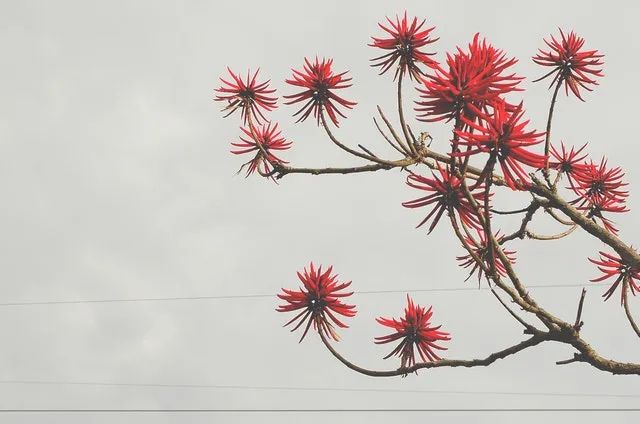当你心中没有恐惧时,你的人生有100种可能性插图-我爱分享网 当你心中没有恐惧时,你的人生有100种可能性插图-我爱分享网