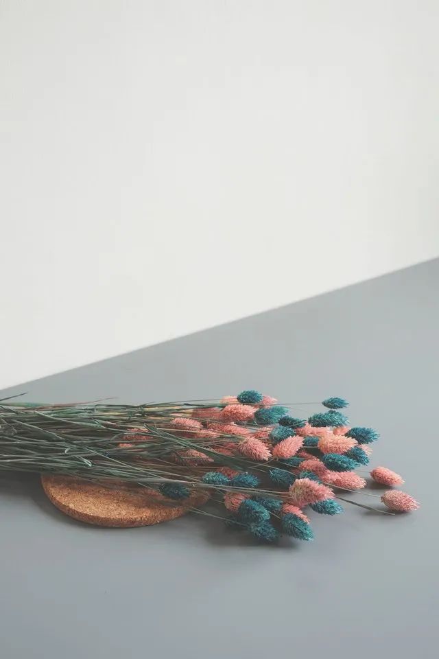 当你心中没有恐惧时,你的人生有100种可能性插图-我爱分享网 当你心中没有恐惧时,你的人生有100种可能性插图-我爱分享网