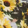 虎爪上の菠萝】