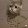 口区