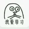 飞翔的荷兰猪