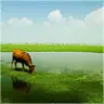 横溪镇中学团总支