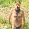123
