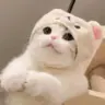 11122234